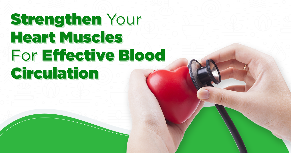 Strengthen Your Heart Muscles For Effective Blood Circulation