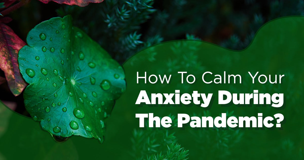 How To Calm Your Anxiety During The Pandemic?