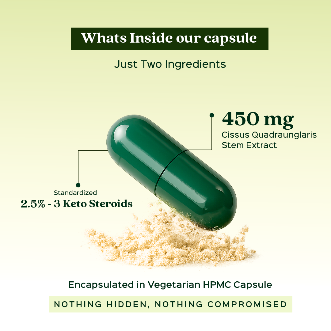 Cissus / Hadjod Extract 60 Veg Capsules (450mg)  2.5% 3-keto steroids