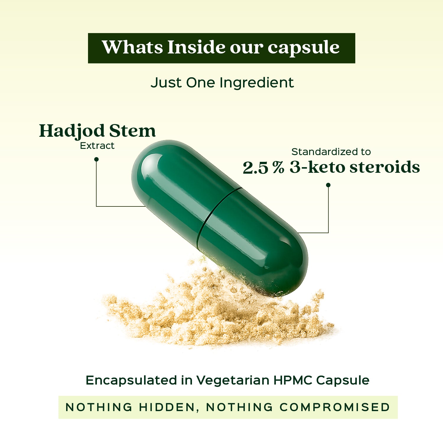 Cissus / Hadjod Extract 60 Veg Capsules (450mg)  2.5% 3-keto steroids