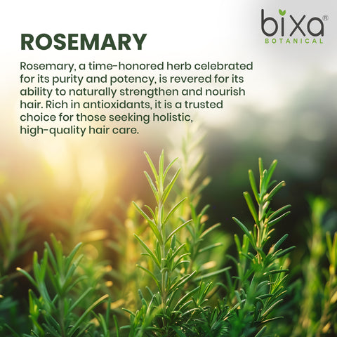 Rosemary Essential Oil For Hair Growth | 100% Pure | Top Grade Imported Quality