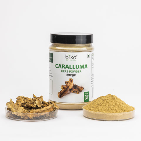 Caralluma Herb Powder  Caralluma fimbriata