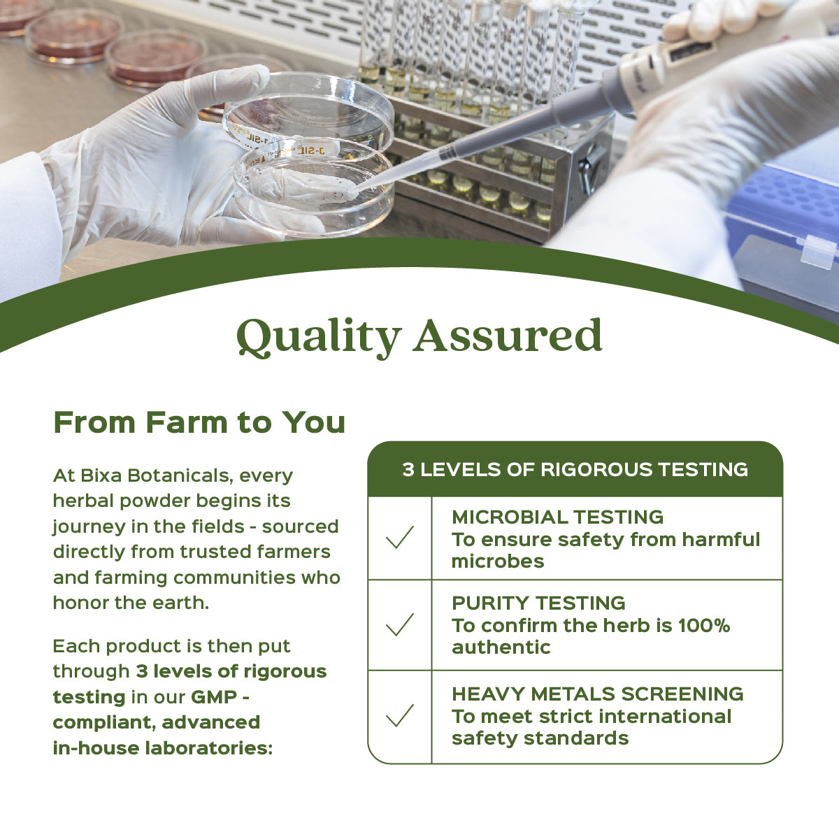 Caralluma Herb Powder  Caralluma fimbriata