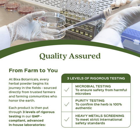 Lavender Flower Powder  Lavandula Augustifolia