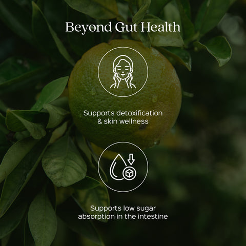 Bael / Bilva Fruit Powder  Aegle Marmelos