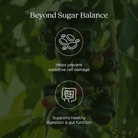 Jamun Seed Powder  Eugenia Jambolana