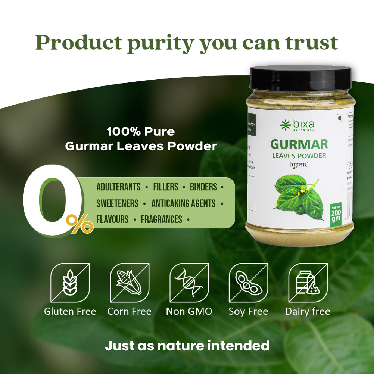 Gurmar/ Gudmar Leaves Powder  Gymnema sylvestre