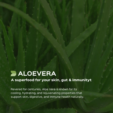 Aloe vera / Kumari Leaves Powder  Aloe Barbadensis