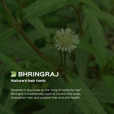 Bhringaraj Powder Eclipta Alba