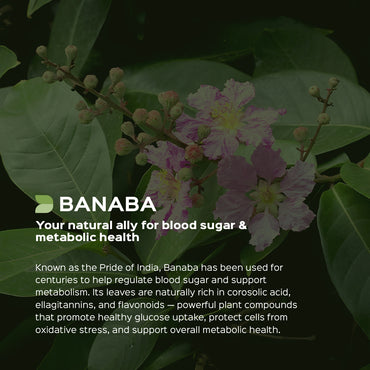 Banaba Leaves Powder Lagerstroemia Speciosa