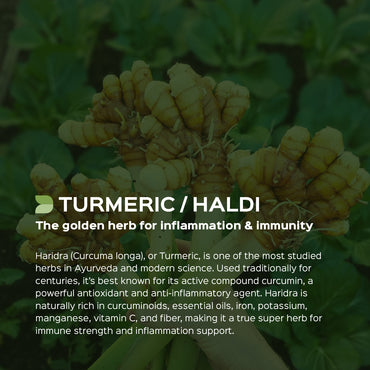 Haldi/ Turmeric Powder Curcuma Longa