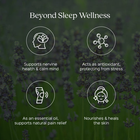 Lavender Flower Powder  Lavandula Augustifolia