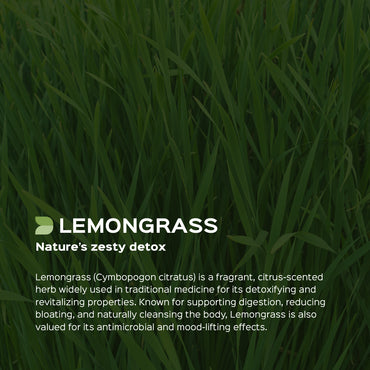 Lemongrass Leaves Powder Cymbopogon Citratus