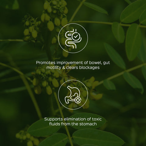 Senna Leaves Powder  (Cassia angustifolia)