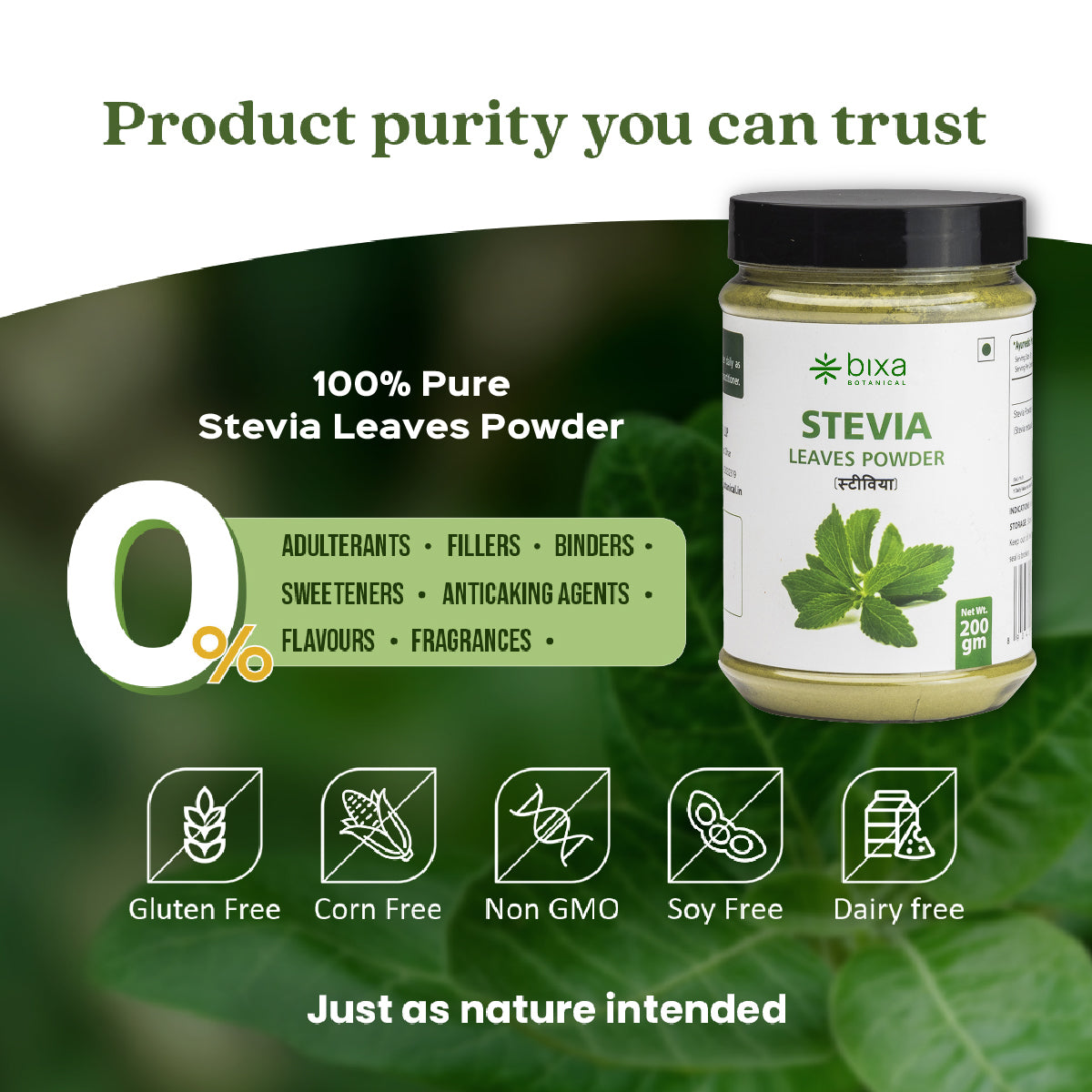 Stevia Leaves Powder  Stevia Rebaudiana