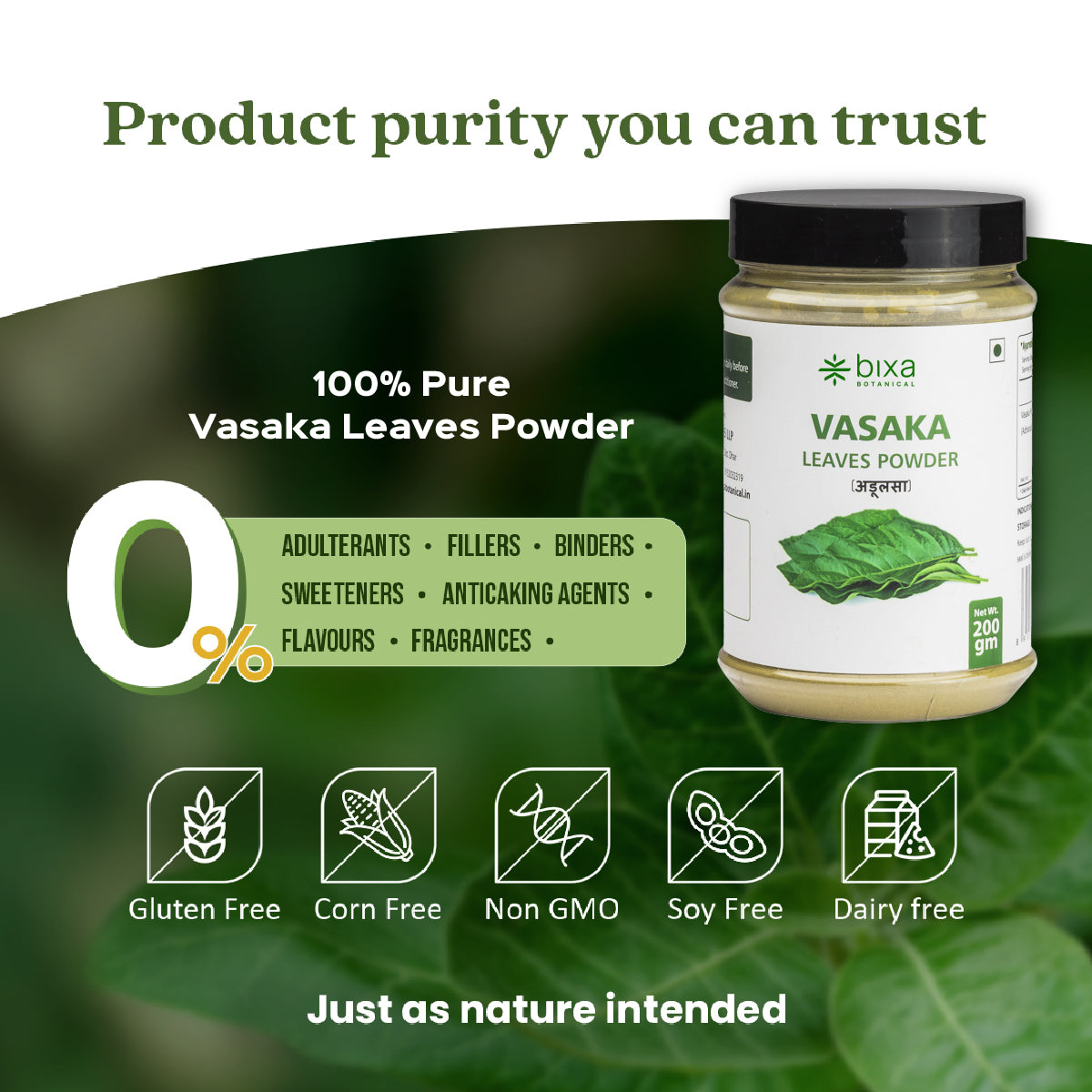 Vasaka / Vasa Leaves Powder  Adhatoda Vasaka