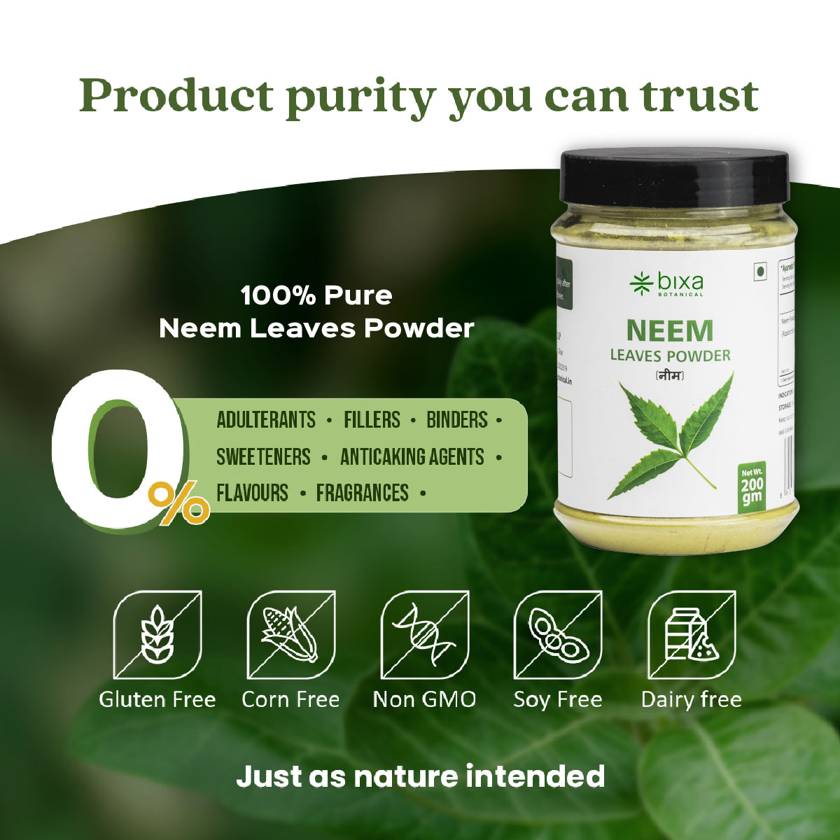 Neem Leaves Powder  Azadirchta indica