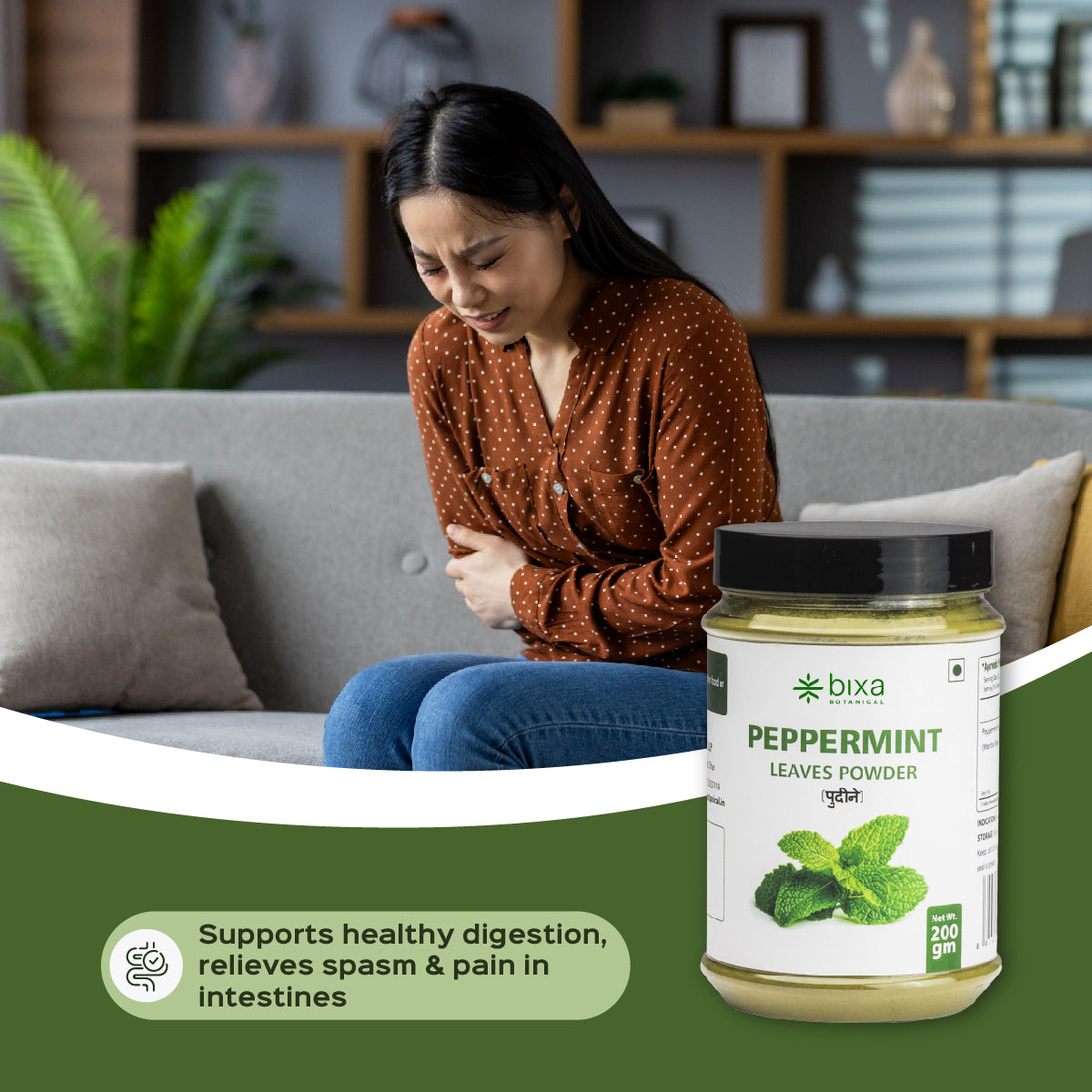 Peppermint Leaves Powder  Mentha Piperita