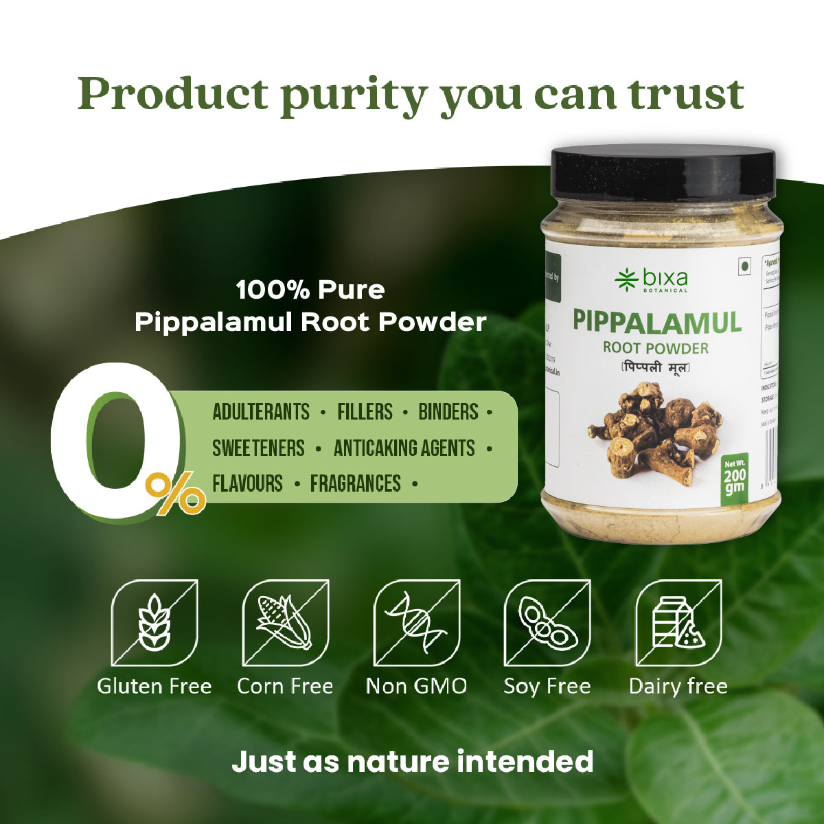 Pippali mool Powder  Piper longum Root