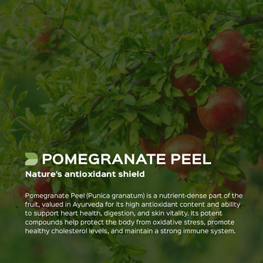 Pomegranate peel Powder  Punica Granatum | Natural Gut Health Supplement