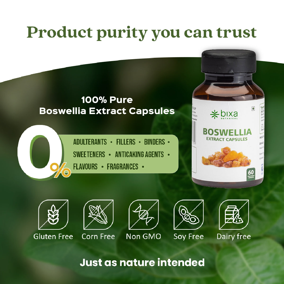 Boswellia Serrata / Shallaki Extract 60 Veg Capsules (450mg) 65% Boswellic acid