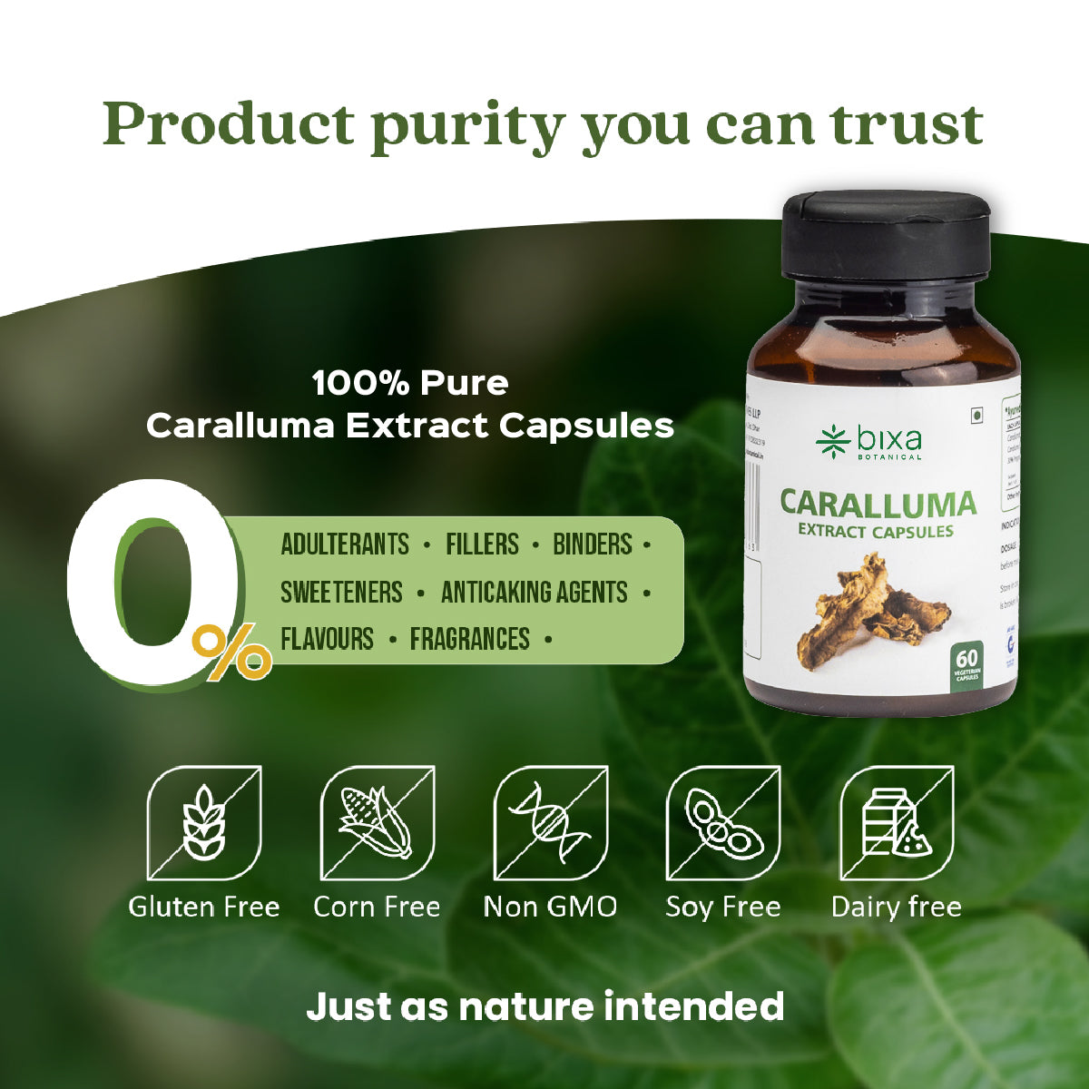 Caralluma Extract 60 Veg Capsules (450mg) 30% Pregnane Glycosides