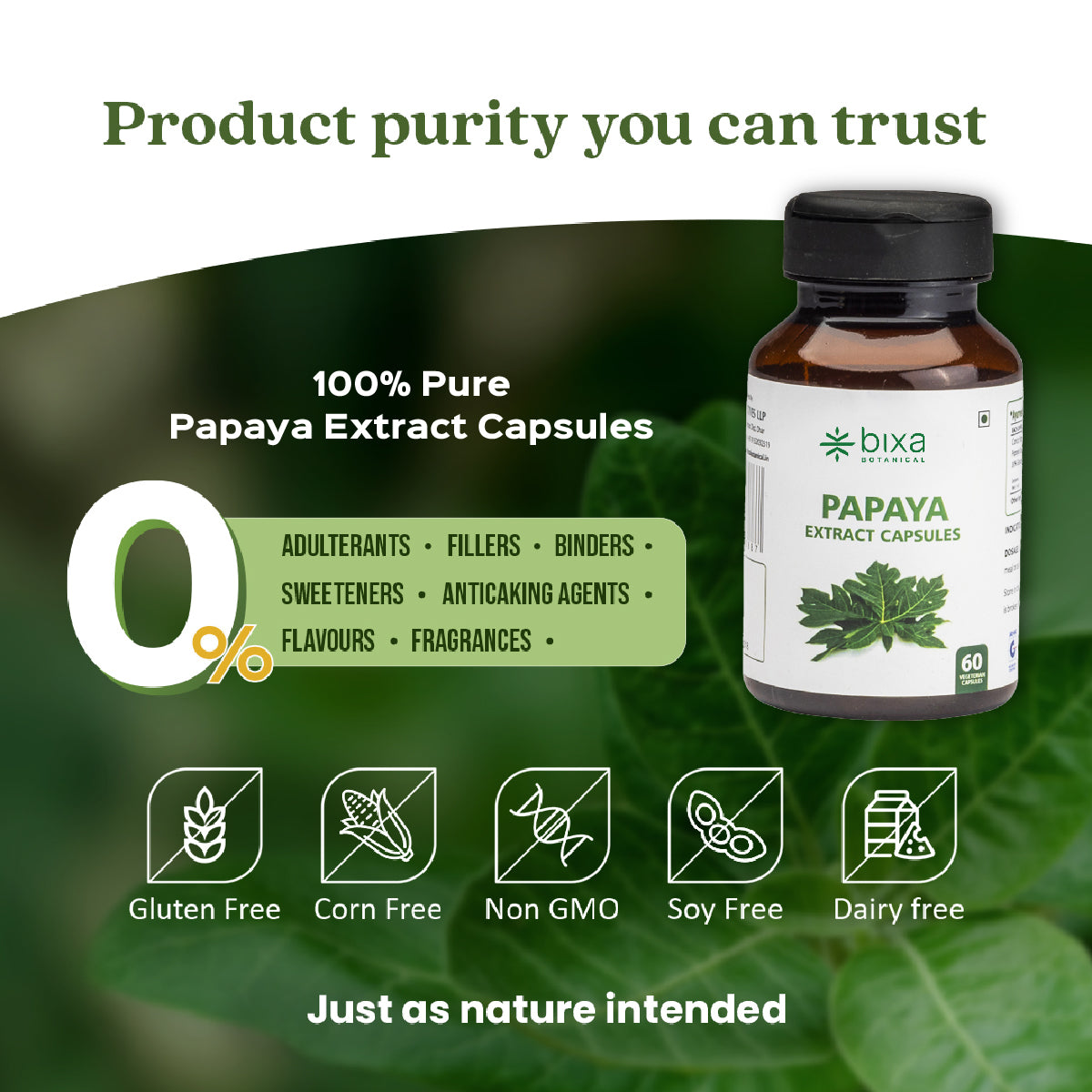 Papaya Leaves Extract 60 Veg Capsules (450mg)