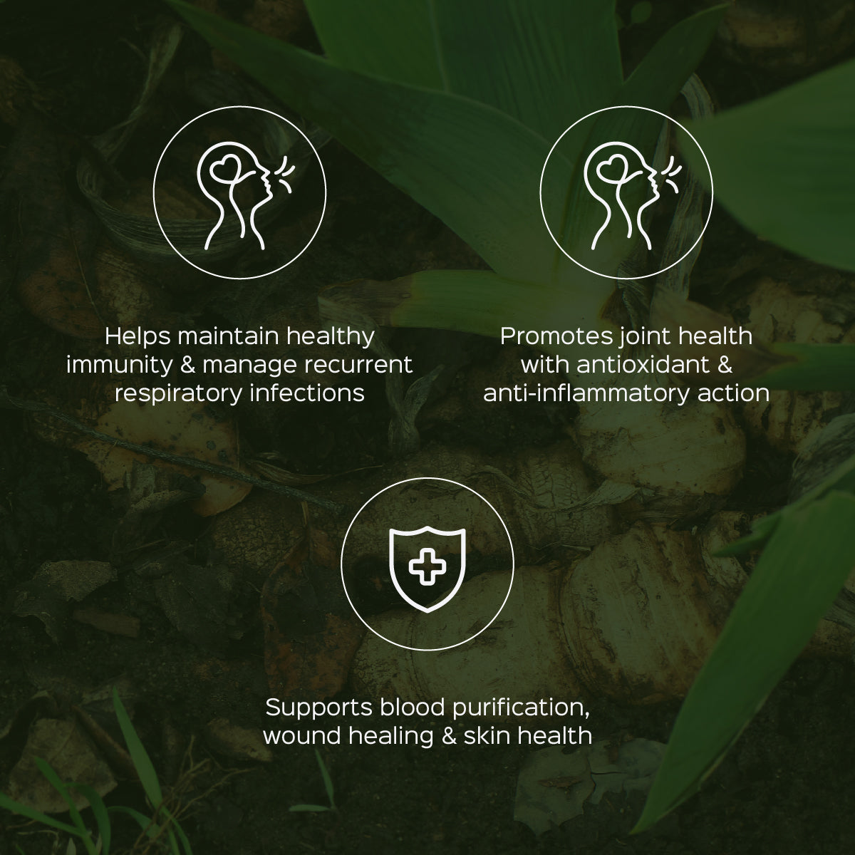 TURMERIC FORTE - Curcumin Capsules with Organic Pepper & Turmeric