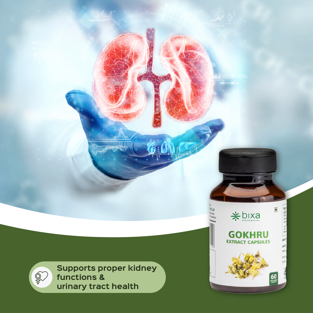 Gokhru / Tribulus Extract 60 Veg Capsules (450mg) 40% Saponins