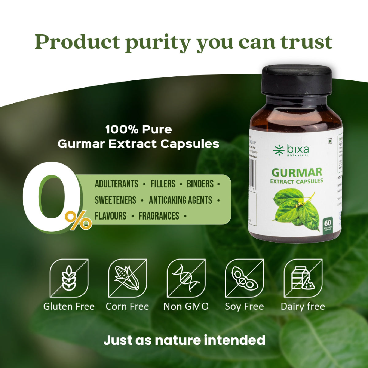 Gymnema / Gudmar Extract 60 Veg Capsules (450mg) 25% Gymnemic acids