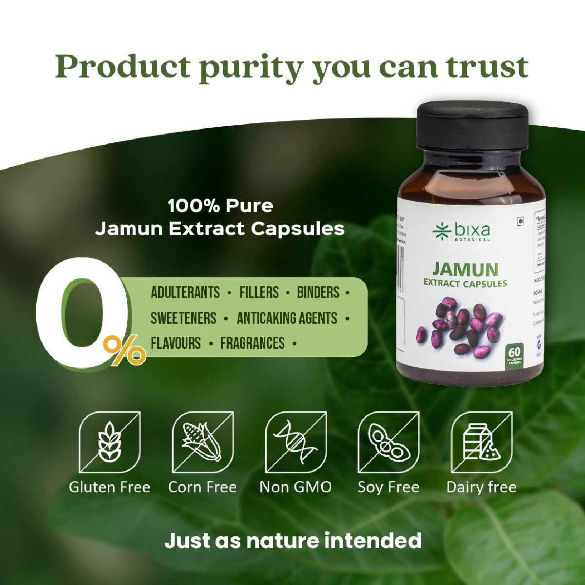 Jamun Extract 60 Veg Capsules (450mg) 5% Bitters