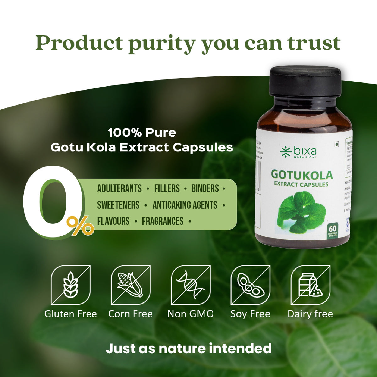 Gotu Kola / Mandukparni / Centella Asiatica Extract 60 Veg Capsules (450mg) 30% Saponins