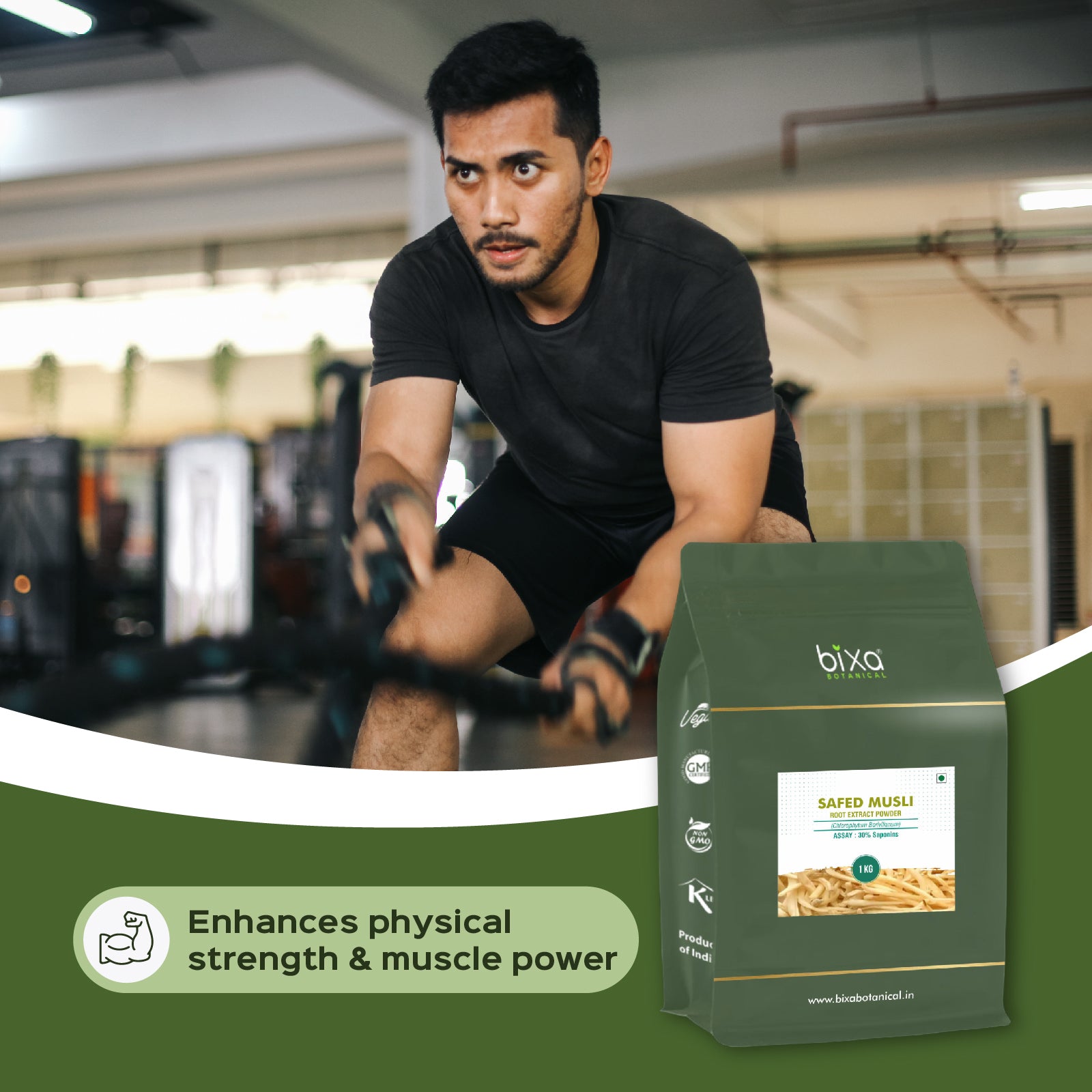 Safed Musli (Chlorophytum borivilianum) dry Extract - 30% Saponins by Gravimetry