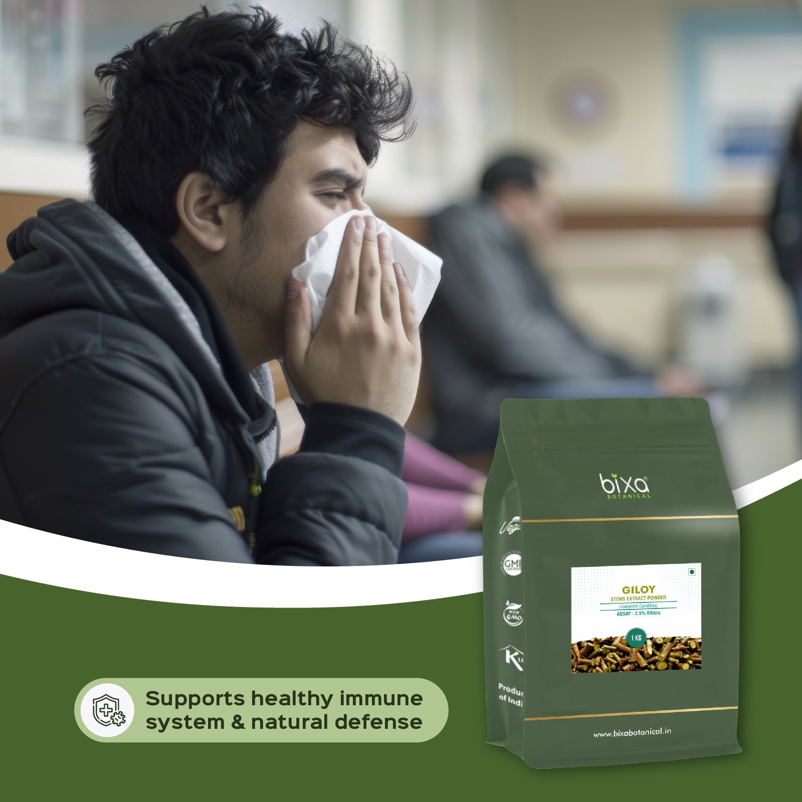 Giloy (Guduchi /Tinospora Cordifolia) dry Extract - 2.5% Bitters by Gravimetry Guduchi