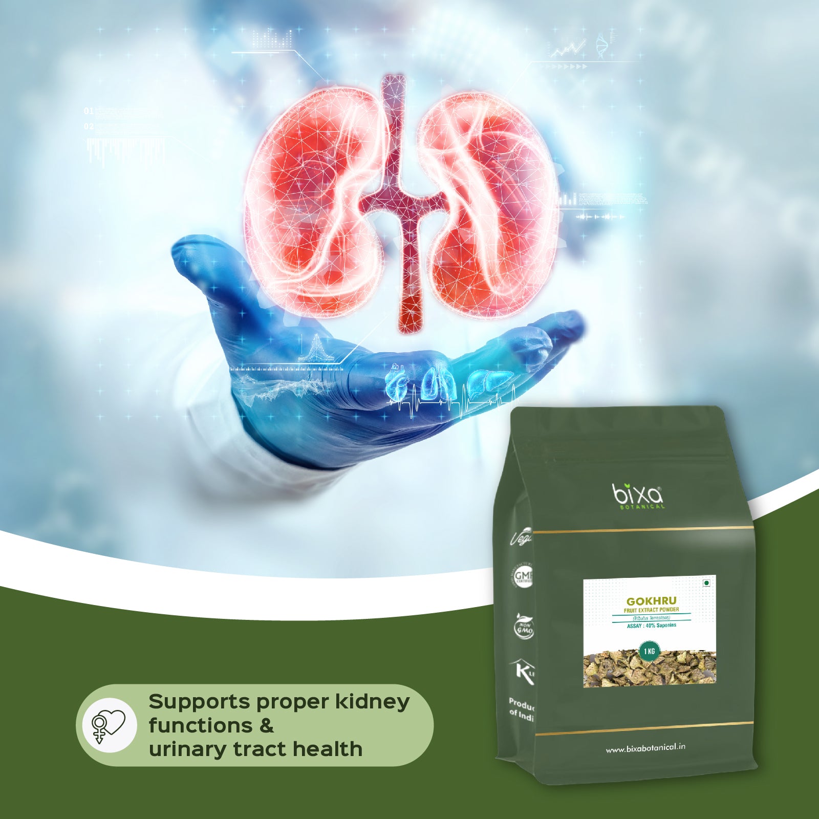 Gokhru (Tribulus Terresteris) Dry Extract - 40% Saponins by Gravimetry