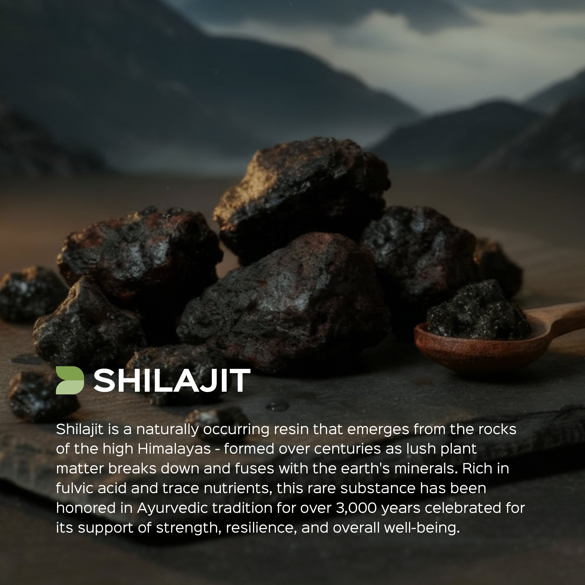 Shilajit Extract 60 Veg Capsules (450mg) 40% fulvic acid