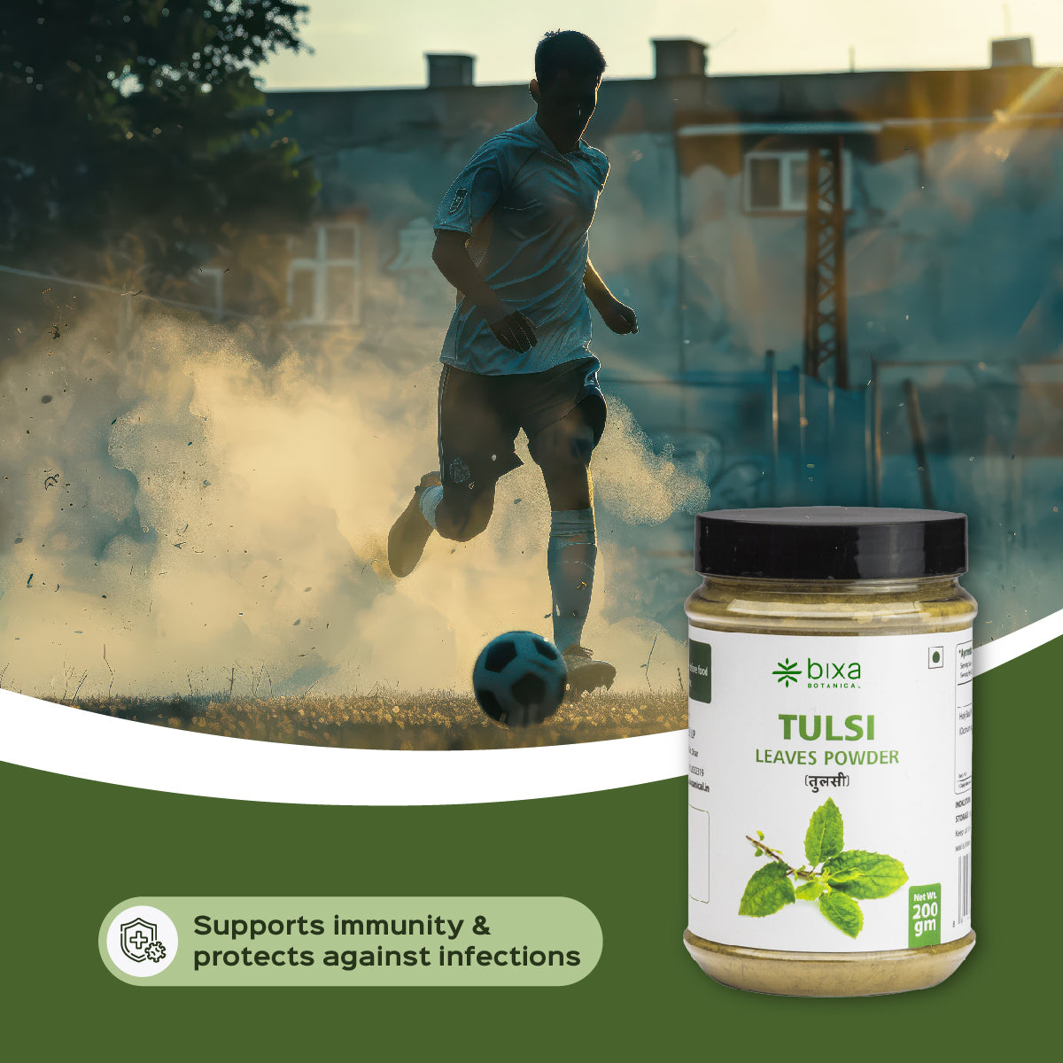 Tulsi Leaves Powder  Ocimum Sanctum