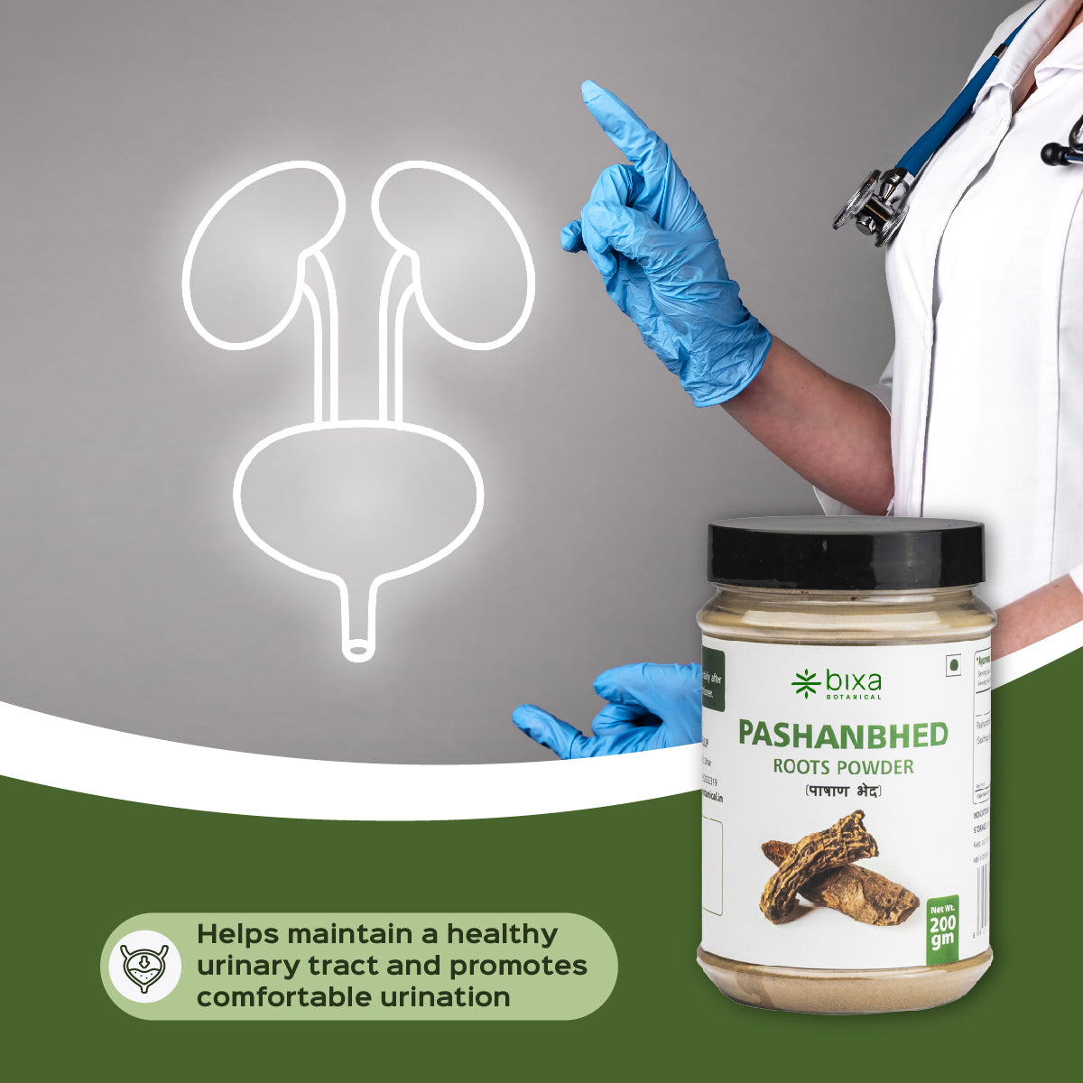 Pashanbhed Root Powder  Saxifraga ligulata