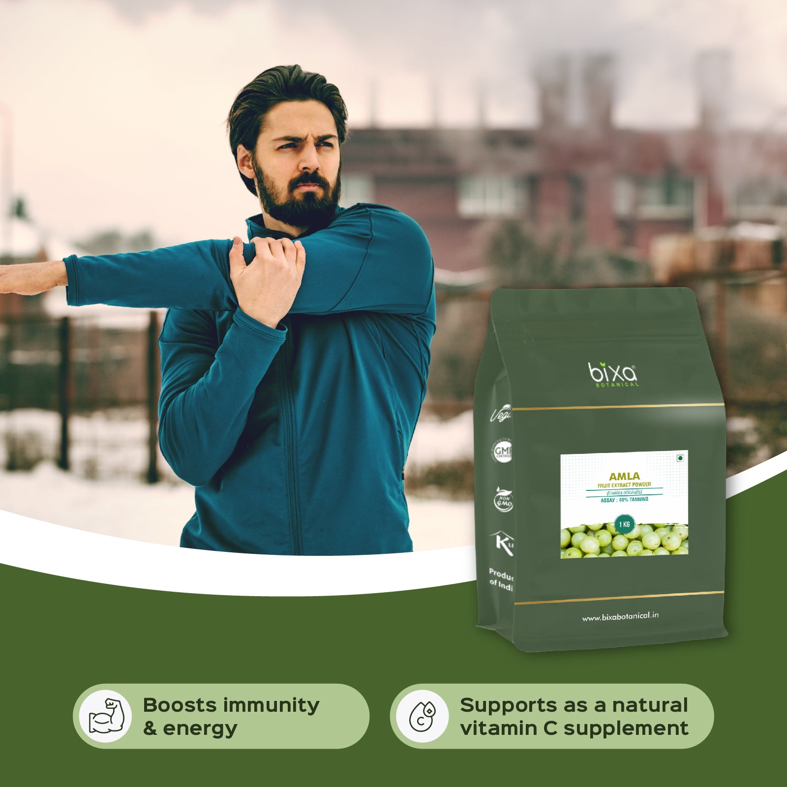 Amla ( Emblica officinalis ) dry Extract - 40% Tannins by Titration