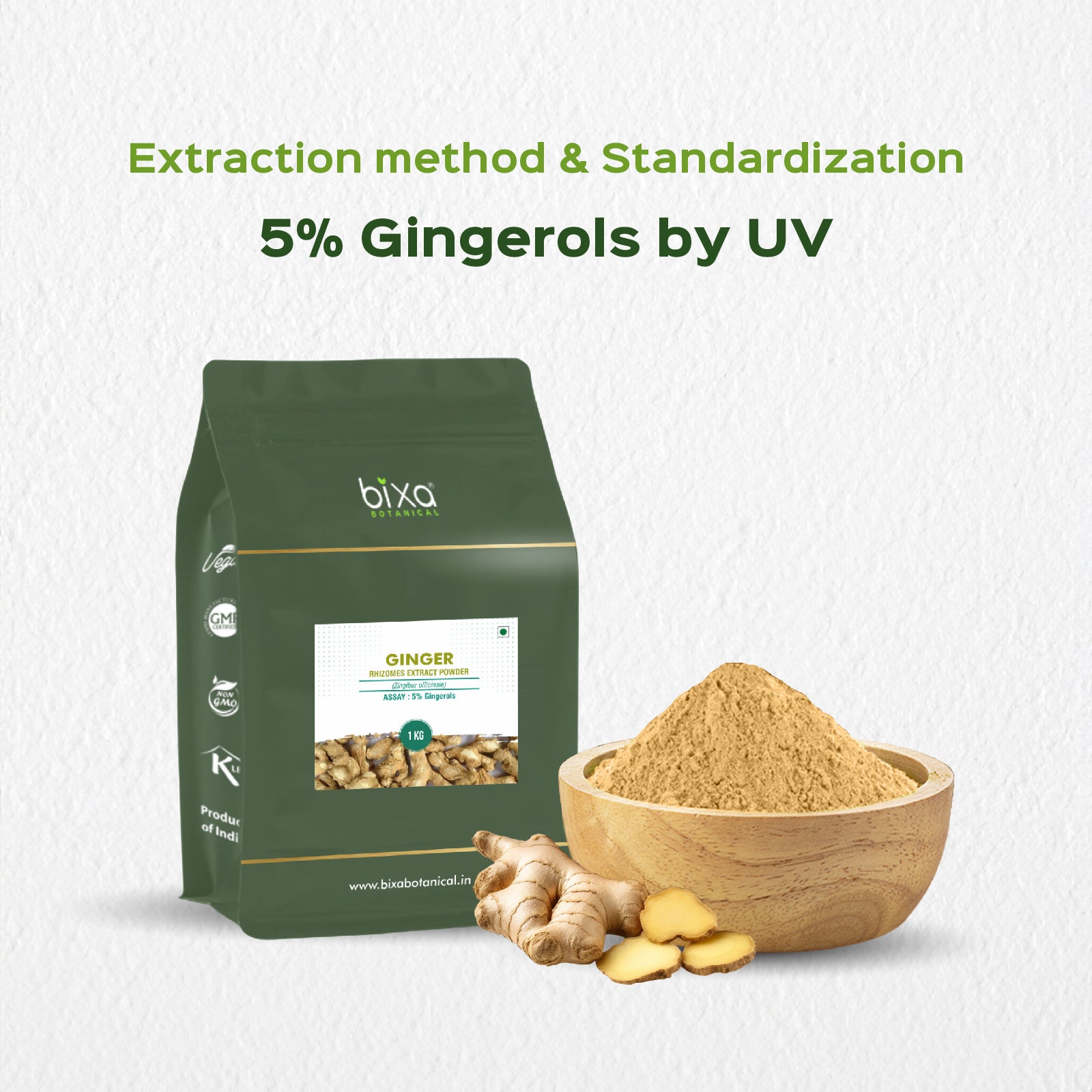 Ginger (Zingiber Officinale) Dry Extract - 5% Gingerols by UV
