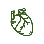 Heart Wellness