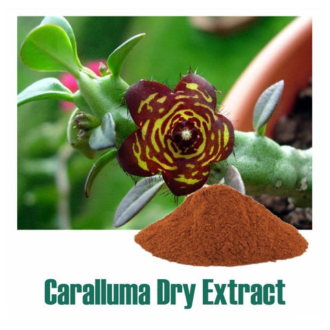 Caralluma (Caralluma fimbriata) Dry Extract - 30% Pregnane Glycosides by Gravimetry