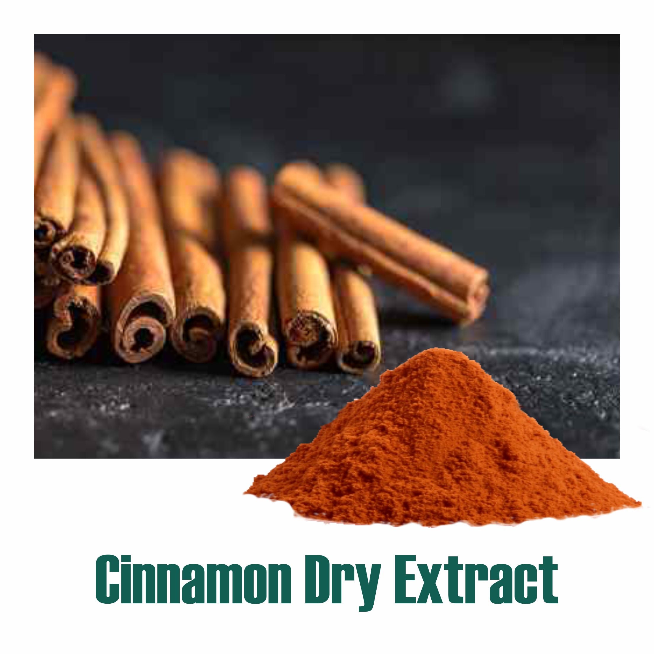 Cinnamon (Dalchini) dry Extract - 10% Polyphenols by UV