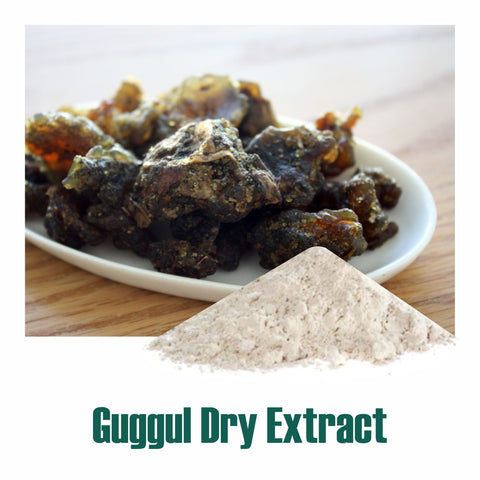 Guggul (Commiphora Mukul) dry Extract - 2.5% Guggulsterones by UV