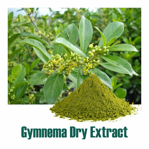 Gurmar (Gymnema Sylvestre) dry Extract - 25% Gymnemic acid by Gravimetry