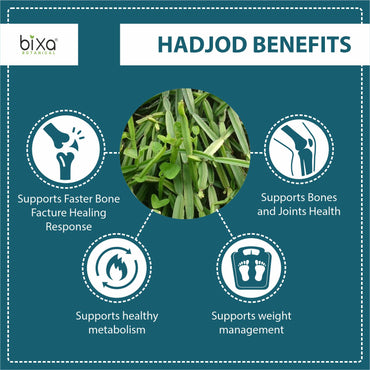 Hadjod (Cissus quadragularis) dry Extract - 2.5% 3-Keto steroids by Gravimetry