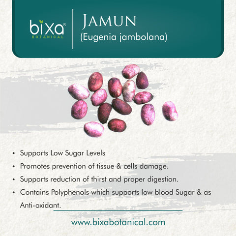 Jamun Seed Powder  Eugenia Jambolana