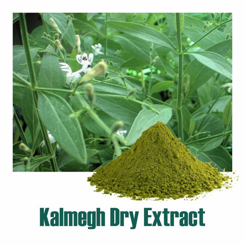 Kalmegh (Andrographis Paniculata) Dry Extract - 10% Total Andrographolide by HPLC