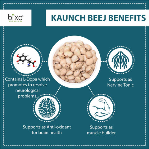 Kaunch beej (Mucuna pruriens) dry Extract - 15% L-Dopa by HPLC