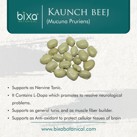 Kaunch beej Powder Mucuna Pruriens